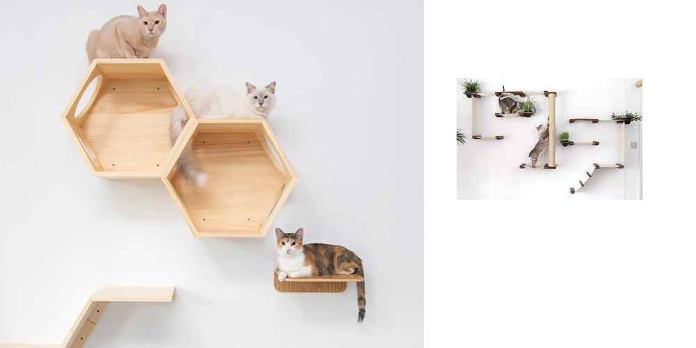 Different Types of Cat Shelves Available Today